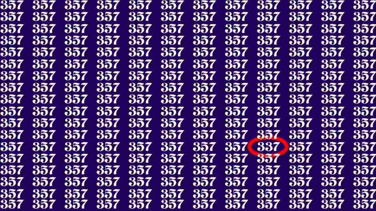 Doar cei mai atenți pot găsi numărul 337: iluzie optică pentru genii