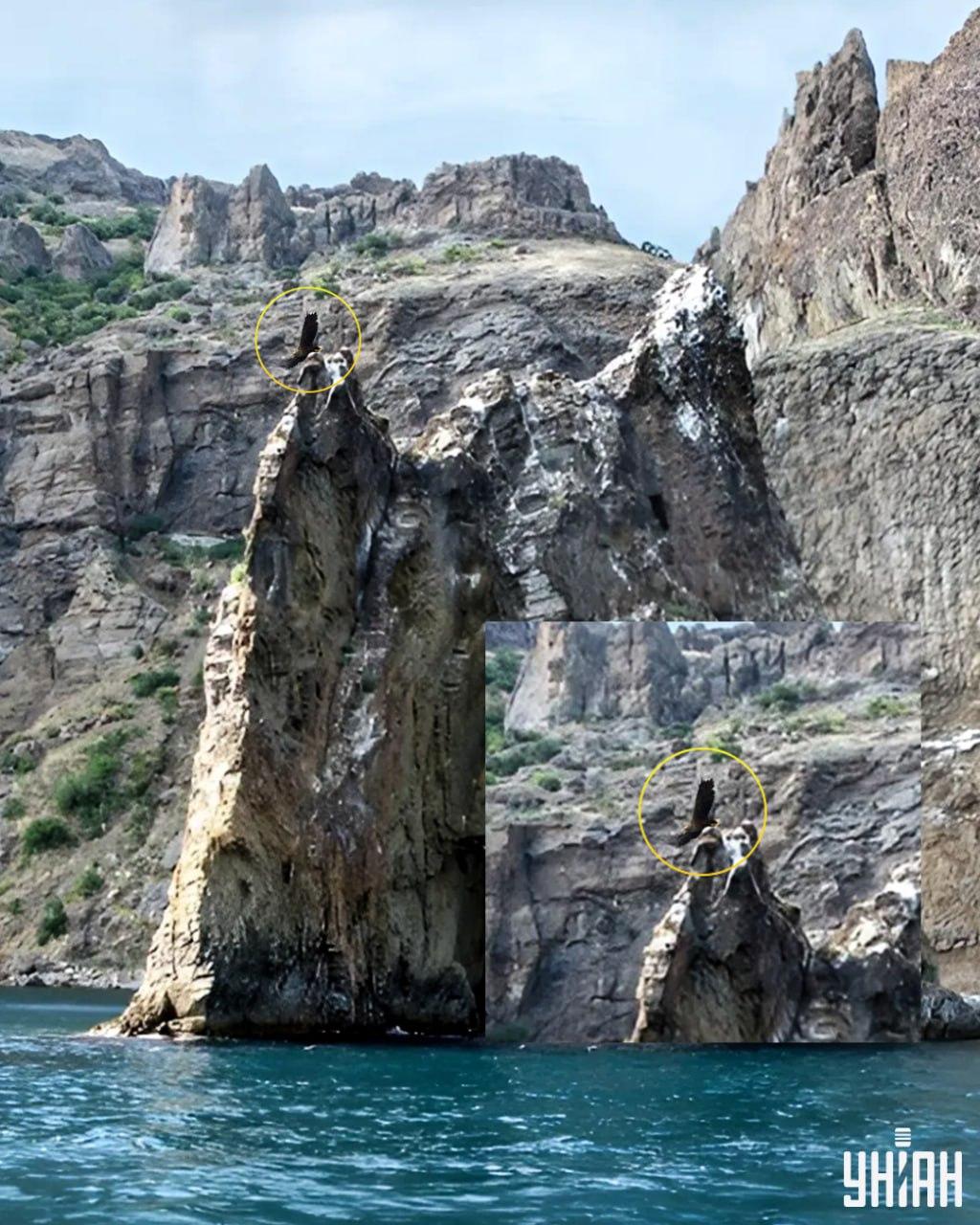 Pasărea se află pe unul dintre vârfurile stâncilor / colaj cu fotografia Moje
