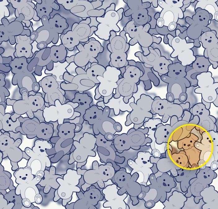 Trebuie să găsești câinele printre ursuleții de pluș: un puzzle distractiv pentru cei mai atenți