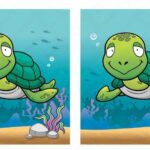 Care este diferența dintre două țestoase: găsește 6 diferențe în