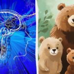 Găsirea unui urs fals în 5 secunde: un test IQ