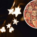 Iluzie optică pentru persoanele cu vedere de vultur: trebuie să